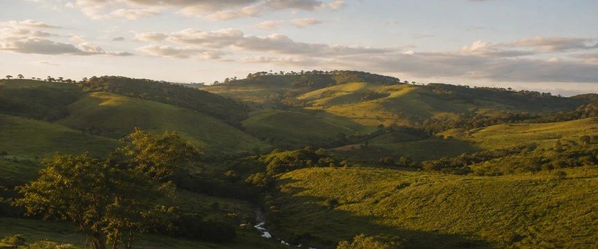 Cercado pela natureza