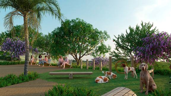 Pet place